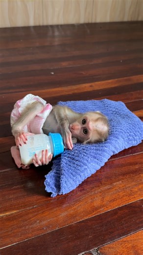 3K views · 101 reactions | Style sleep wait milk of baby | Mario Life's | Facebook