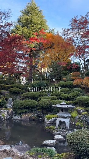 11/17（月）朝日町 紅葉スポット🍁 紅葉が見頃を迎えている境の護國寺🍁 これから葉っぱが舞い落ちて、ふかふかの紅葉の絨毯のお庭を歩くのも贅沢な時間です。 冬に向けて、シャクナゲの木が丁寧に雪吊りされている様子もまた美しいです❄️ こころ静かに、のんびり散策をお楽しみください🍁 お近くには、県内最古の酒蔵「林酒造場」があり、旅のお土産に地酒をお求めいただけますよ🍶 🍁境の護國寺 @shakunagedera_gokokuji （朝日町境1558） TEL 0765-83-3157 🅿️有り https://www.asahi-tabi.com/asahimachi/1382/ 🍶林酒造場 @hayashisyuzo （朝日町境1608） TEL 0765-82-0384 土日定休 https://www.hayashisyuzo.com #護國寺 #紅葉 #日本酒 #林酒造場 | 富山県朝日町観光協会
