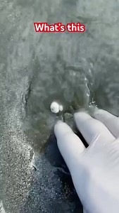 I think this stone is very expensive 🤷🪨$4600 #historicphotos #investing #tsxv #otcmarkets #rockymountainprospectors #crystals #satisfying #juniormining #real #mining #miningmuseum #goldminingtown #cse #rockhound #idahochampiongold #beach #historyloversclub #exploreeverything #goldprospecting #preservehistory #mininggold #goldrush #canada #goldmining #otcmarket #gold #goldpanning #otcqb | Alphatross