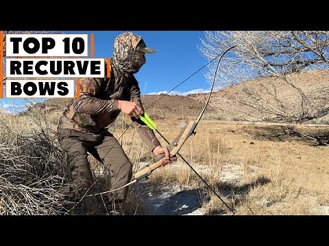 Best Recurve Bows in 2025 (Top 10 Picks)