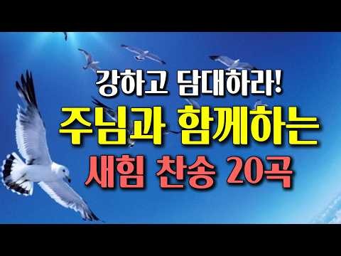 [찬송가 연속듣기]복잡한 마음에 힘과 용기를 주는 찬송 | 강하고 담대하라 | 주님과 함께하는 새힘찬송 20곡 | HYMN | 골방찬양