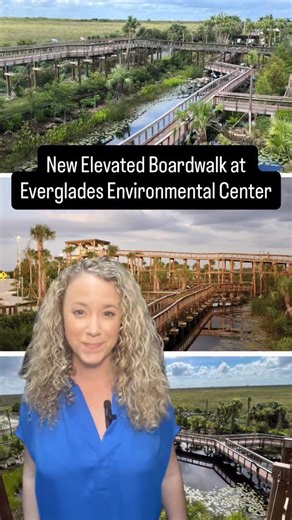 Royce Nelson Smith on Instagram: "Did you know Alligator Alley has a new attraction? The Florida Everglades now has an Elevated Boardwalk as part of the Everglades Environmental Education Center — giving travelers an up-close experience right off I-75. About 10 miles west of the Weston toll booth, the Florida Department of Transportation transformed an old truck lot into a full nature park with winding boardwalks, ponds, lush native landscaping, and signs that teach you all about Everglades wild