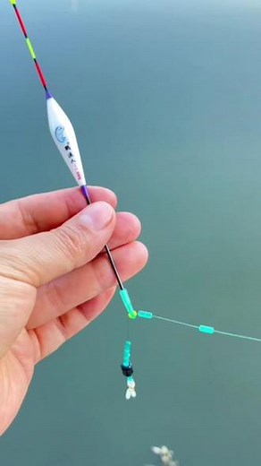 无需调漂就可以直接钓鱼的双钩立漂朝天钩线组，上钩金袖.下钩搭铜头朝天钩.#立漂朝天钩 #传统钓#立漂传统钓 #渔具用品 #户外钓鱼 - 抖音