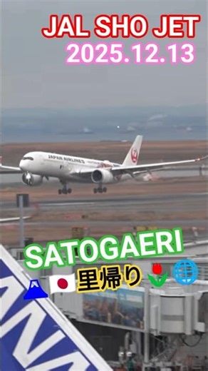 🇯🇵✈翔平選手が里帰り⁉️🌷#ShoheiOhtani💐JAL機SHO JET が華麗に舞い降りる🎶🇯🇵#shorts 🏆