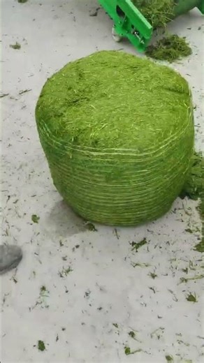 Silage baler. Bale and store, ferment feed, stack at will