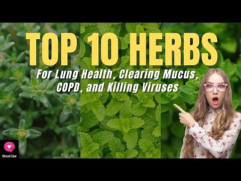 Top 10 Herbs for Lung Health, Clearing Mucus, COPD, and Killing Viruses | Blissed Zone