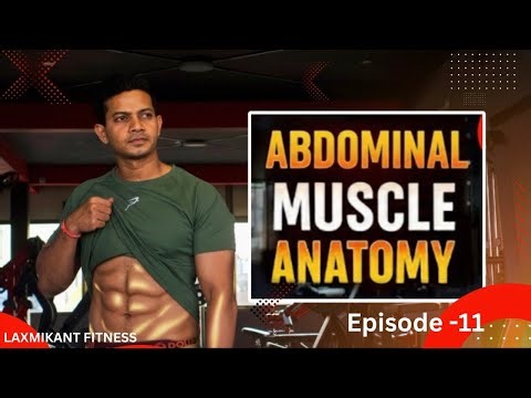 Abdominal Muscle Anatomy 🔥 | Build a Stronger Core