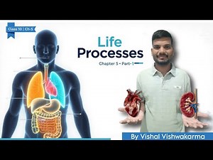 Class 10 Life Processes | Nutrition in Humans & Amoeba | Autotrophic & Heterotrophic |Part-1.