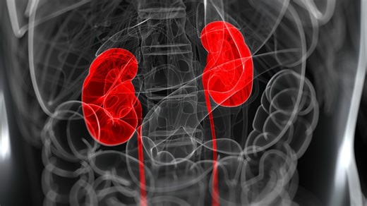 Rat bite causes severe bacterial infection, kidney failure in Canadian man