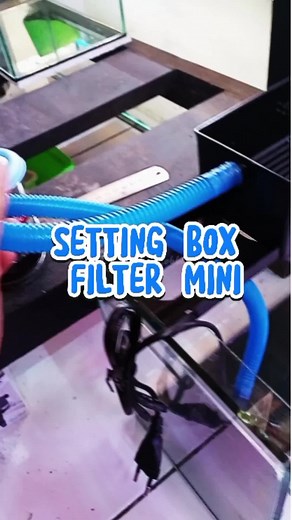 udah nyoba belum? #aquarium #ikanhias #filteraquarium #aquariumhobby