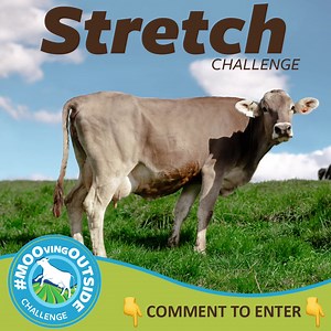 📣 Time for another #MOOvingOutside Weekly Challenge for a chance to win a month’s worth of FREE Organic Valley products! Stretching is good for cows and humans, and is the first step to loosen up before you getting mooving. We challenge you to stretch then get mooving outside 3 days this week. Here’s how to enter and commit to the challenge: 🐮 Follow Organic Valley on Facebook 🐮 Tag a pal in the comments that you’ll bring along Giveaway ends 5/23/2021 at 9:00 p.m. CDT. One winner will be rand