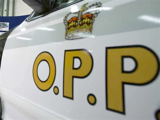 Electronics stolen in brazen gunpoint robbery of delivery van: OPP