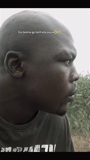 Explore the Ngwana Mma Song and Meaning