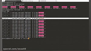 01) آشنایی با حملات Stack Overflow و اجرای Shellcode