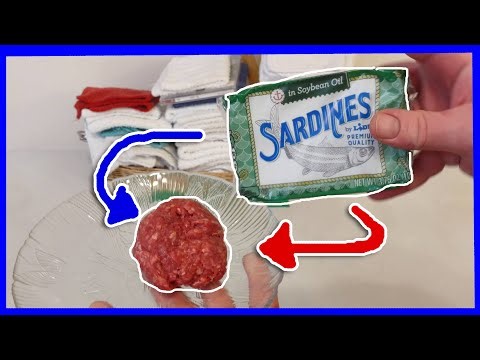 The Sardines Burger