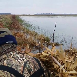 Puddle Duck Labs on Reels