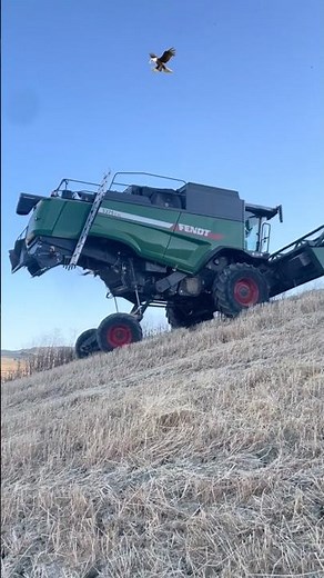 Harvest with Fendt 🌾 #agriculture #harvesting #fendt #combine
