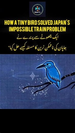 how tiny Bird solved Japan's impossible Train problem 😱 #pakistan #factsinurdu #facts #universe #