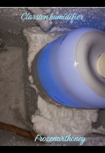 Clarston humidifier- I like it!! #frozenwithoney 🌬️💨❄️🥶🍯 #freezerfrost #deepfreezerfrost #visualasmr #asmr safe entertainment love🤍