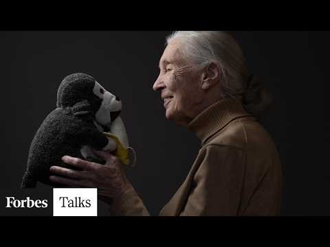 What To Know About The First-Ever Jane Goodall Day