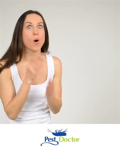 Pest Doctor | Don’t forget to call Pest Doctor and schedule an appointment! #pestdoctor #pestcontrolmiami #miamibeachpestcontrol #miamigardenspestcontrol... | Instagram