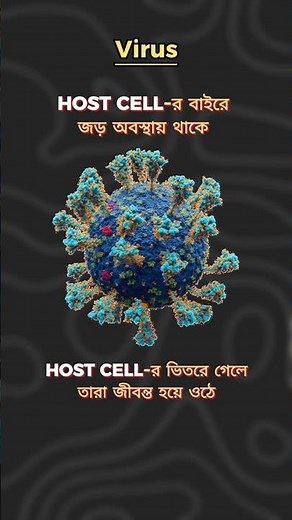 Cell Theory Explained in 30 Seconds 🔬 | Biology #biologystudy #celltheory #science #class11biology