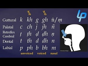 Pali Alphabet & using the PED Dictionary