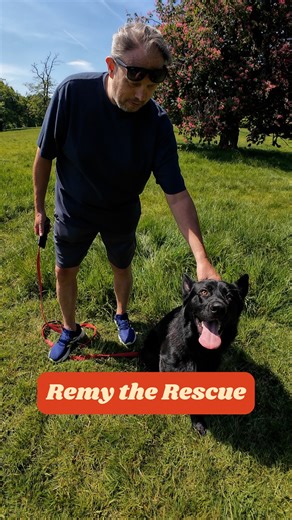 "I think he had a nasty first few months of his life" 🥺 | My Best Friend