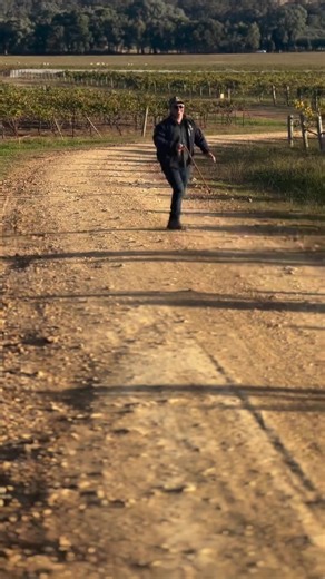 We are so ready for our 50th year of Stein!! #50yearsofwine #australianwin #wineoftheworld #2026