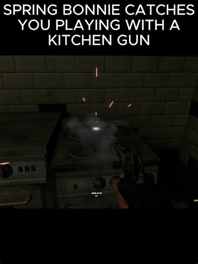 Kitchen Gun at Fazbears