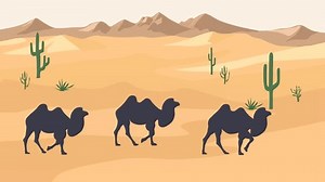 Animation Bactrian Camels Walking Desert Seamless Stock Footage Video (100% Royalty-free) 3679486649 | Shutterstock