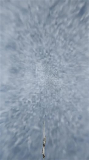 Understanding False Alarms and Their Effects