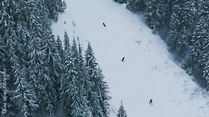 Winter blizzard in Stevens Pass mountain ski resort, Washington USA. Scenic aerial above skiers riding down snowy slope in frozen mountain forest landscape. Slow motion Ski show at winter cold day 4K