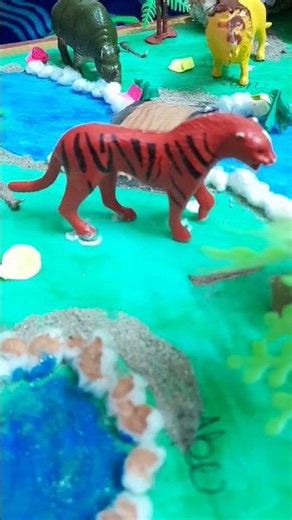 EVS project animal and habitats class 4th