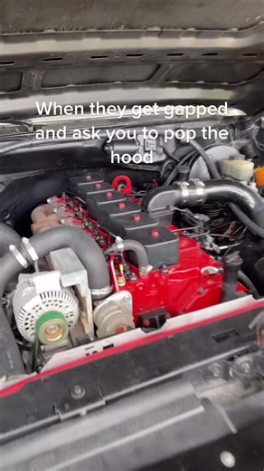 Ford Cummins Swap | Fummins Bullnose | All You Need to Know