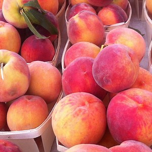 A Map of the 5 Closest Farmers Markets in Lakeview