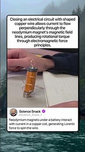 HOW HOMOPOLAR MOTORS WORK