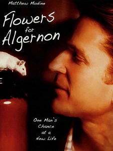 Flowers for Algernon (2000) - Moria