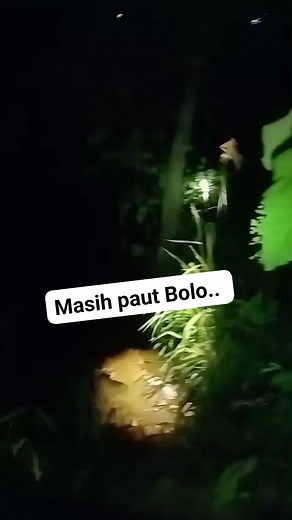 Patin paut🥱 #reel | Nauval Shooter