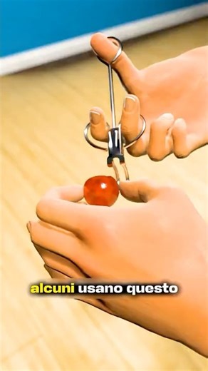 HOW TO GROW A CHERRY TREE AT HOME IN A QUICK TIME (credits: @zackdfilms)