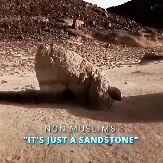 And to Allah prostrates whoever is in the heavens and the earth.— Surah Ar-Ra’d (13:15)