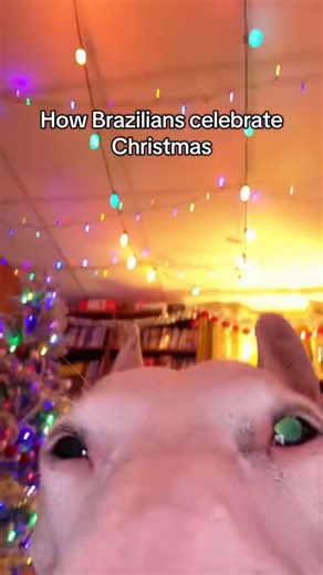 Dmitry on Instagram: "Can someone translate? Brazilians have such beautiful Christmas songs! #brasil #brazil #🇧🇷 #feliznatal #christmas"