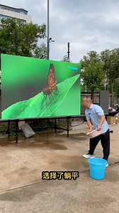 76K views · 664 reactions | stage led screen display #screen #display #panel #media #ledscreen #leddisplay #ledwall #billboard #sign #factory #bigscreen #video #led #lighting | Apollomi LED Screen Display Factory | Facebook