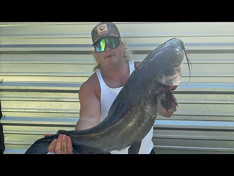 Catfish courtbouillon from water to table!!!