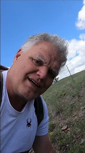 Montana Bitterroot Flower 🌸 | Native Healing Plant