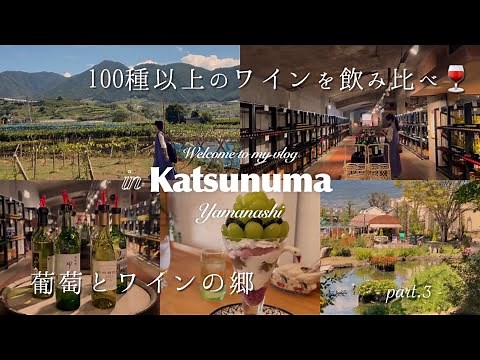 【 山梨 】勝沼の人気スポットを巡る🍇 ┊葡萄┊ワイン┊車なし！勝沼1泊2日-Part.3-