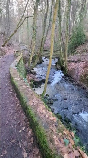 Just another river and Bridge