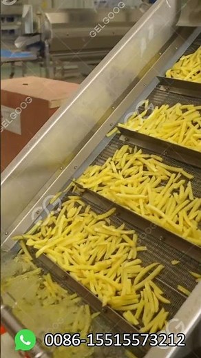 How Are French Fries Manufactured? French Fries Machine