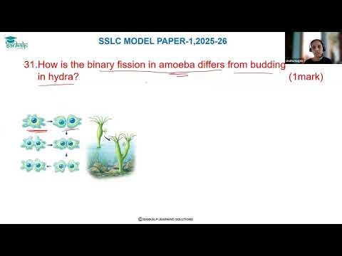Model Question paper 1 - Science - EM - Qno 31