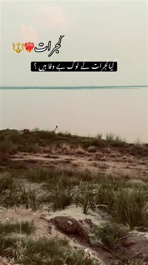 Bewafa Log❤️‍🩹🙌 • • • #foryou #viralvideo #trending #gujrat #urdupoetry